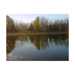 Bravada Homes