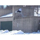 Foto von Cory Winkler