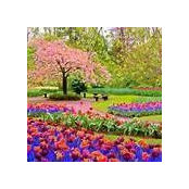 Jacque Hamblen's photo