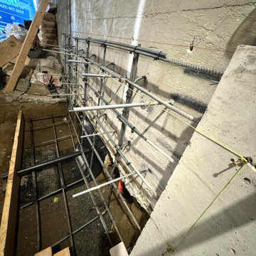 IN PROGRESS - EASTERLIN‘S RESIDENCE - BASEMENT REMODEL