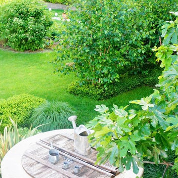 "Jardin des contrastes" - linéarité/souplesse - structuré/aérien