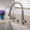 Stainless Steel Commercial Spring Kitchen Faucet With Pull Down Shower Spray