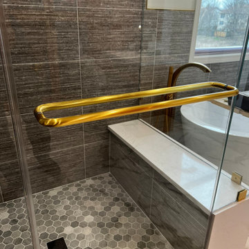Carol Stream Master Bathroom