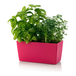 Plastic Coimbra Planter Plastic - Pink - Outdoor Plant Pots & Planters