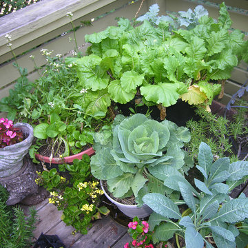 Vegetable variety | Artistry Landscaping Design