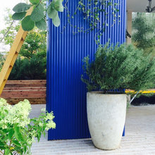 Container garden ideas