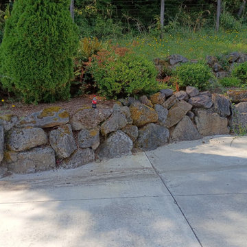 Landscape Cleanup and Ground Preparation