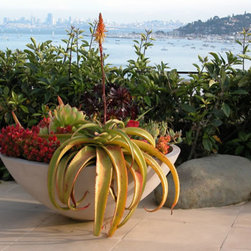 Container Arrangements - Plants