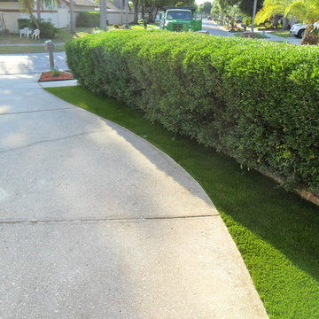Residential Lawn