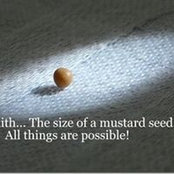 Debby McCoy's photo
