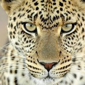 Donna Stokes's photo