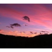 Kathy Liszka's photo