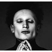 Alexander Bawerman's photo