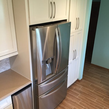 Large Mount Prospect Remodel