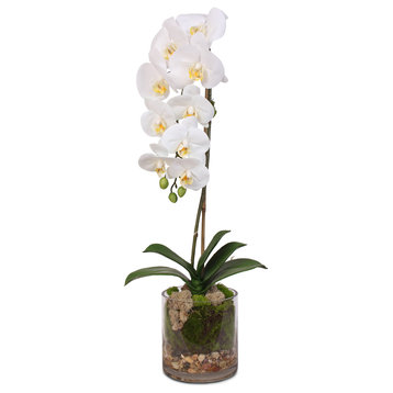 Real Touch White Phalaenopsis Orchid With Sleek Glass Vase