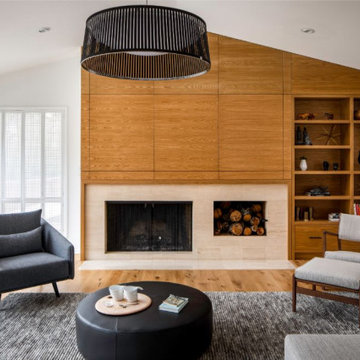 Modern Ranch Whole House Remodel & Addition