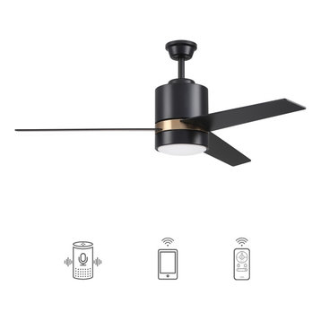 Carro 52'' Ceiling Fan with Light, Wall Control and Remote by Wifi App, Black&go