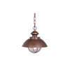 Harwich 1 Light Outdoor Pendant or Chandeller, Burnished Bronze