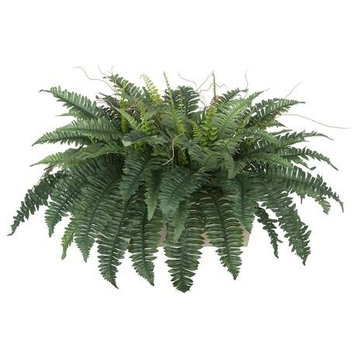 Artificial Fern in White-Washed Wood Ledge