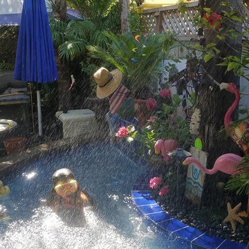 "Cabo Style" Backyard Paradise