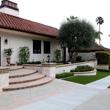 Artificial Grass Lawn