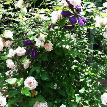 Classic cape with cottage gardens