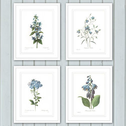 Botanicals - Framed Art Prints - Artwork
