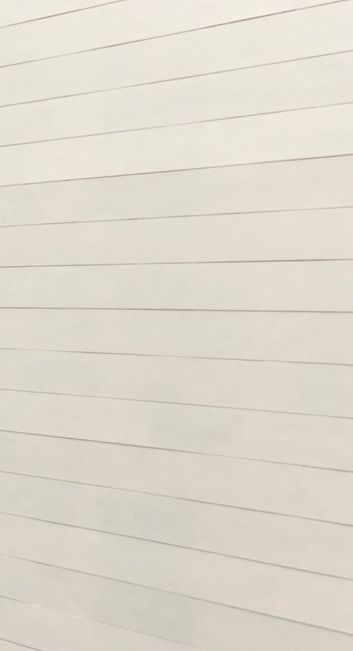 Shiplap Siding Installation