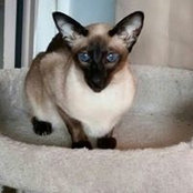 Carol Powell's photo
