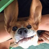 Annabelle Dubois's photo