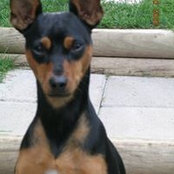Damian Malinowski's photo