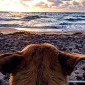 Jordan Fleisher's photo