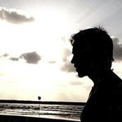 Tom Rachman's photo