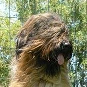 Laurence Arnaud's photo