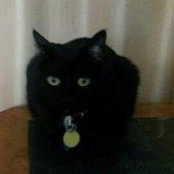 Susan Yeaman's photo