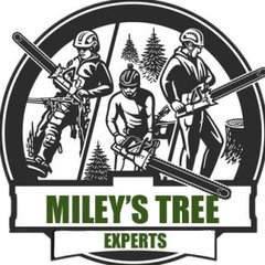 Miley’s Tree Experts