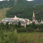 Lisa Richter's photo
