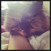 Greta Valenti's photo