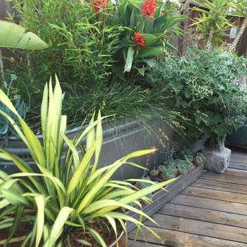 Pool side container garden