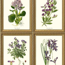 Dining room wall art