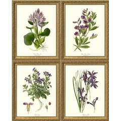 Botanical Study Leaf Berry Flower Wall Art Gold Frame Set Of 6 ~ Uttermost  33651