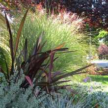 Garden-landscaping