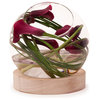 Danya B. Glass Terrarium/Vase on Wooden Stand