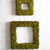 Moss Wreaths, Set Of 2, Green