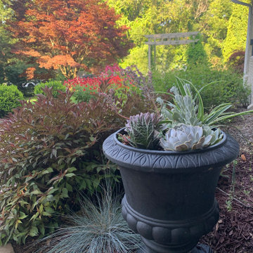 Residential cottage garden