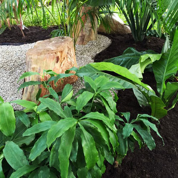 Cordyline border