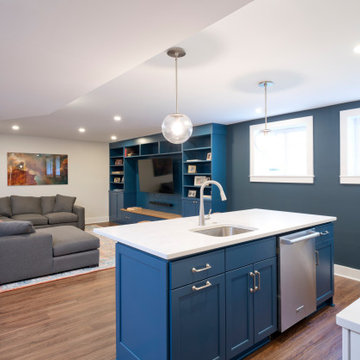 Family Friendly Basement in Mt Plesant
