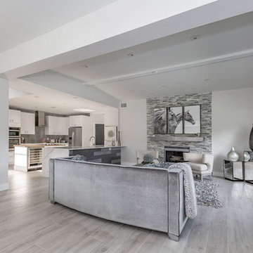 McClellan Park Contemporary