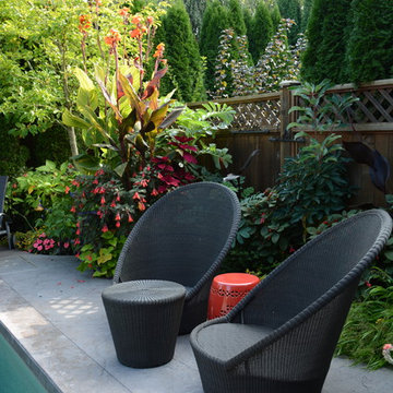 Poolside Garden and Containers