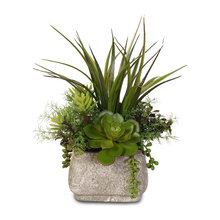 Plants & Trees  (INDOOR)